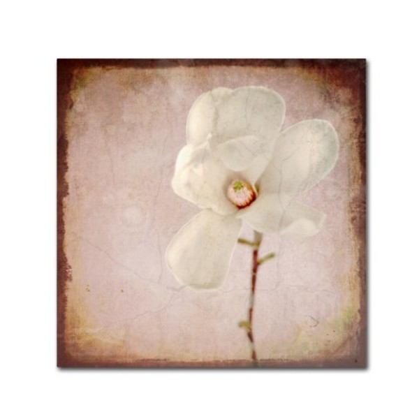 Trademark Fine Art LightBoxJournal 'Paper Magnolia' Canvas Art, 14x14 ALI10411-C1414GG
